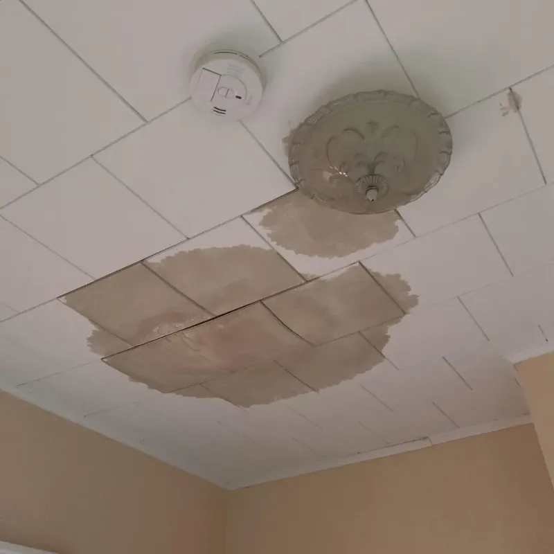 Ceiling Water Damage Repair in Essex Village, CT