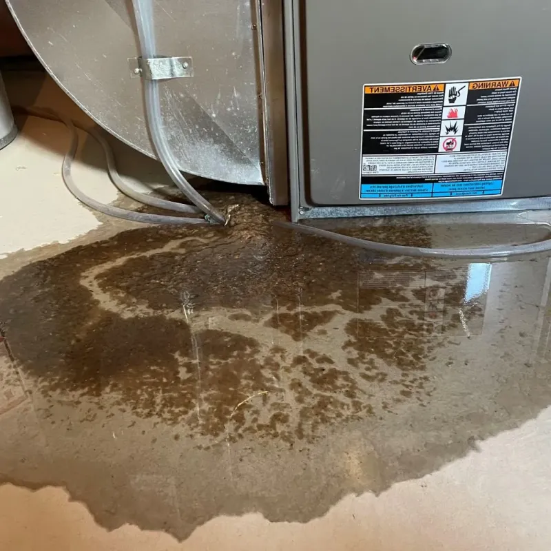 Pipe Burst and Leak Restoration in Essex Village, CT